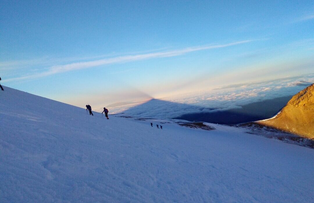 IMG_20181201_065710838