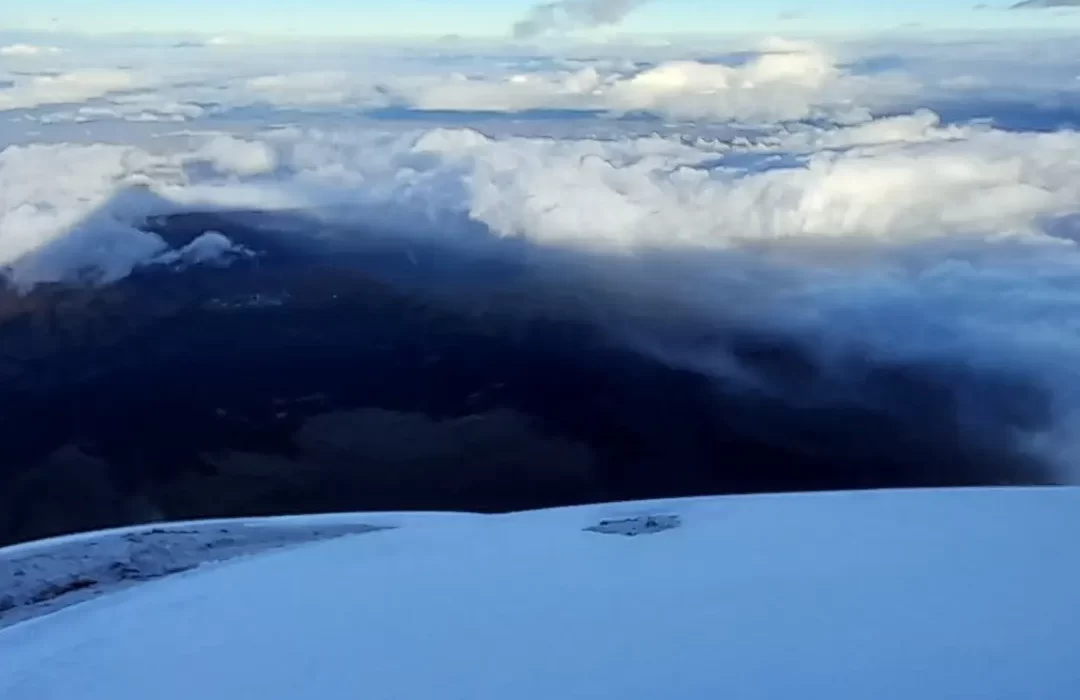 IMG_20221014_084203_839