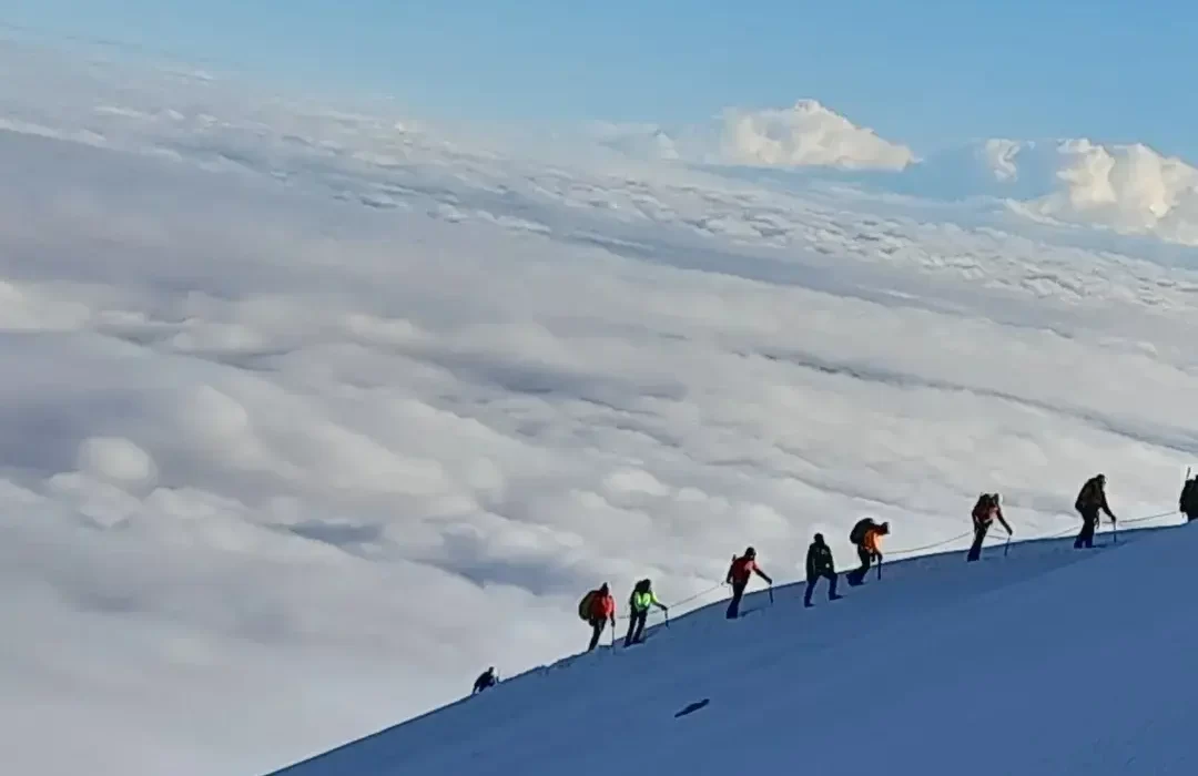 IMG_20221014_084342_392